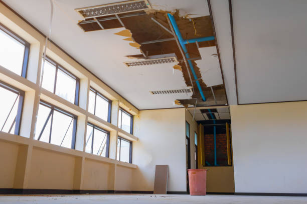 Best Water damage contractors near me  in Chesaning, MI
