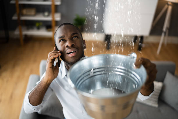 Best 24-hour water damage restoration  in Chesaning, MI