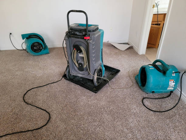 Best Water damage restoration near me  in Chesaning, MI