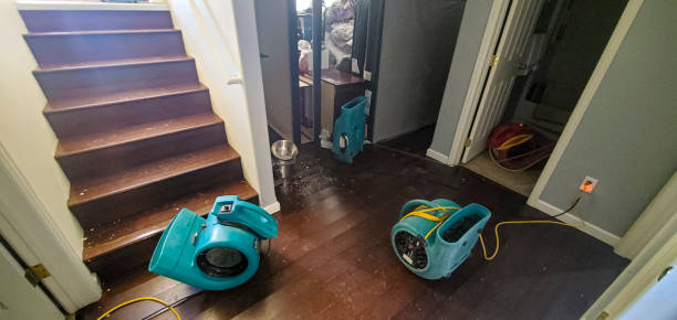 Best Flood restoration services  in Chesaning, MI