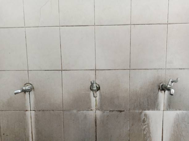Best Professional water damage repair  in Chesaning, MI