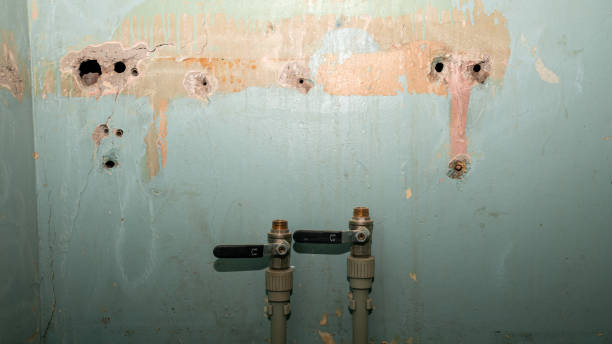 Best Water damage restoration near me  in Chesaning, MI