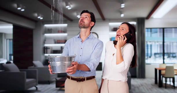 Trusted Chesaning, MI Water damage restoration Experts