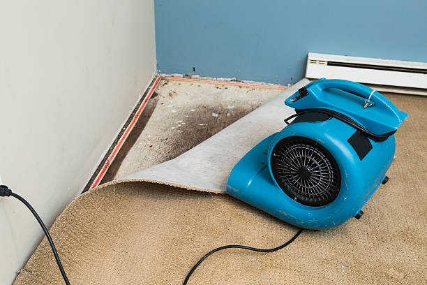 Best 24/7 water damage repair  in Chesaning, MI