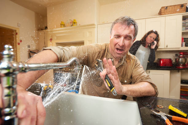 Best Water damage mitigation services  in Chesaning, MI